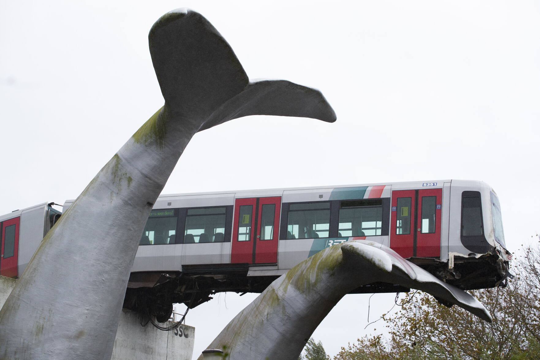 Netherlands Metro Whale